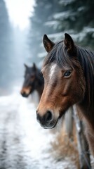 Horses stand gracefully in a snow-covered forest during a misty winter morning