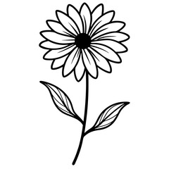 a calendula