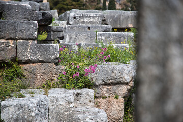 The gray ruins of ancient Delphi sit quietly under a partly cloudy sky, showing signs of age and...
