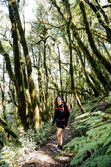Obraz premium Female Hiker Admires Lush Laurisilva Forest in Garajonay National Park on La Gomera Island