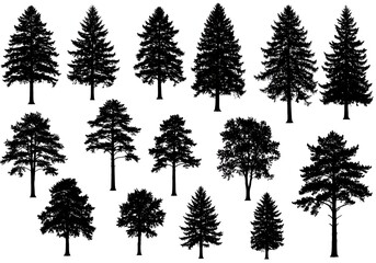 Fototapeta premium Silhouettes of various trees isolated on white background form a collection
