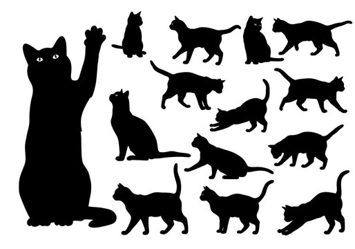 A collection of black cat silhouettes isolated on white background