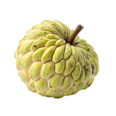 Custard apple isolated on transparent background  
