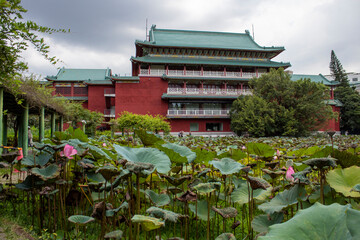 Taipei Botanical Garden (台北植物園)
