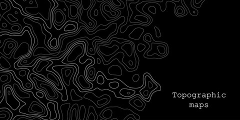 Exploration of intricate topographic maps showcasing contour lines and geographical features in a creative representation of terrain