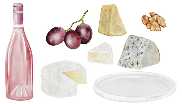 Hand-painted watercolor clipart set with wine, grapes, cheese, walnut. Ideal for menu design, wine tasting invitations, packaging, branding, restaurant or picnic-themed projects.