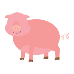 Cartoon Pig Illustration