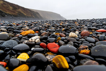Colorful shells scattered on a rocky beach under cloudy skies