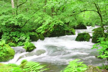 奥入瀬渓流（阿修羅の流れ）