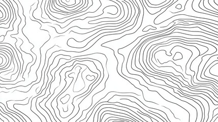 Fototapeta premium Contour lines revealing elevation variations, forming abstract geographical patterns with potential for design backgrounds and visual data representation