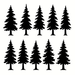 Obraz premium A Captivating Collection of Silhouette Evergreen Trees Evoking Natural Beauty and Woodland Serenity for Various Design Applications
