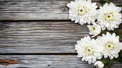 Elegant arrangement of white chrysanthemum petals resting on aged wooden floorboards with visible knots and weathering marks in close-up