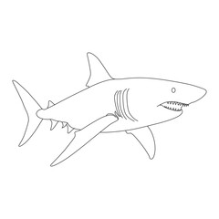 Fototapeta premium Shark line art vector design. Shark outline illustration design.