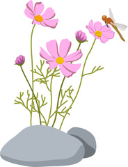 가을 코스모스와 잠자리