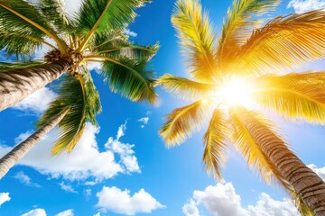 Tropical Paradise: Sunlit Palm Trees Against a Vivid Blue Sky