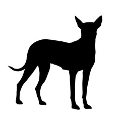 Black silhouette of standing dog with transparent background. Ideal for logos, pet brands, tattoos, decals, or minimalist design