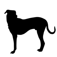 Black silhouette of standing dog with transparent background. Ideal for logos, pet brands, tattoos, decals, or minimalist design