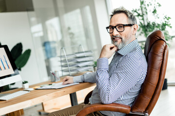 Confident mature businessman working in a modern office environment highlighting professional...