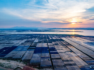 Solar photovoltaic power plant at sunset