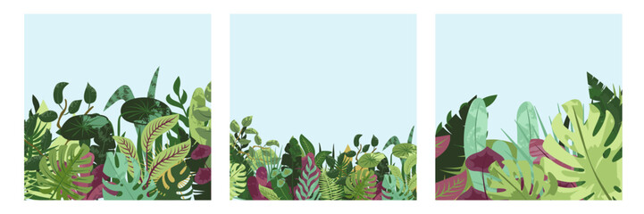 Green botanical cards set. Spring greenery, tropical nature, leaves, summer flowers, lush plants, eco square postcards. Floral backgrounds, thickets, garden, vegetation. Flat vector illustrations