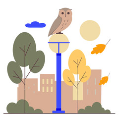 Owl sitting on street lamp in autumn city park flat illustration