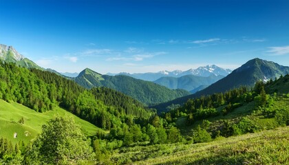 mountain landscape with green forest and clear blue sky creating peaceful and natural atmosphere