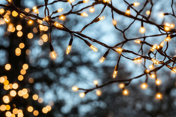 Bokeh backgrounds featuring enchanting fairy lights in dusk ambience