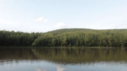 Fototapeta premium A wide and calm river surrounded by dense green forest and blue skies.