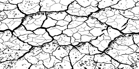 Black and white cracked earth texture with intricate patterns, symbolizing extreme drought, environmental stress, or parched landscapes. Perfect for backgrounds, climate themes, or natural decay visua