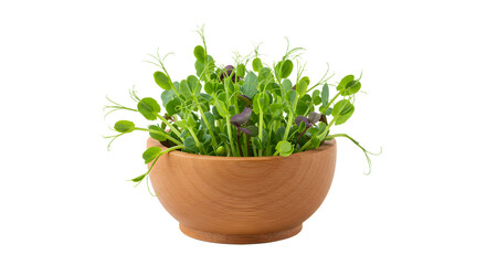Fototapeta premium Lush green salad mix in a rustic wooden bowl, showcasing vibrant leaves with a soft natural light background