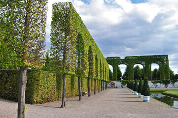 Ornate Shaped Hedge Trees and Footpath in Formal German Garden 