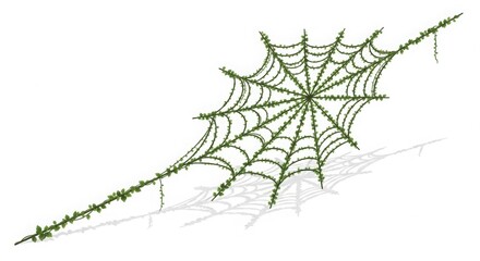 Obraz premium A lush green ivy vine shaped like a spiderweb showcasing intricate details perfect for Halloween and nature designs