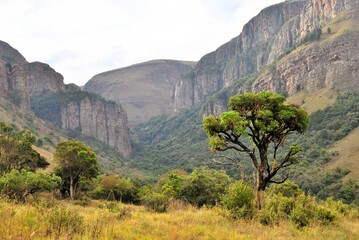 view of the mountains in the morning