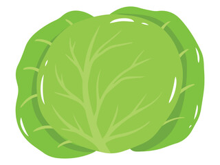 Cabbage Vegetable Cartoon Clip Art