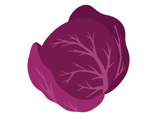 Red Cabbage Vegetable Cartoon Clip Art