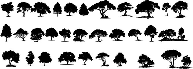 Tree Vector Set | Flat Black Trees Collection on White Background

