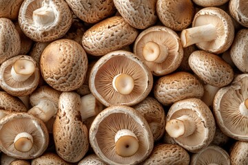 Dried mushrooms. Dried mushrooms top view. Champignons, porcini mushroom