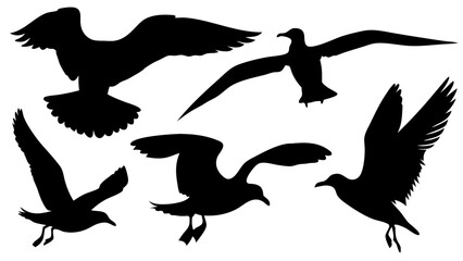 Obraz premium Set of seagull silhouettes in various flying and resting poses, black vector shapes, isolated on white background, minimal and clean style, flat design, suitable for icons and graphic elements