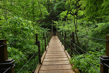 Obraz premium Climbing Mt. Takao, Tokyo, Japan