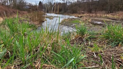 Flowing Water and Green Banks