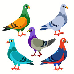 A vibrant collection of five cartoon pigeons each showcasing a unique and colorful plumage standing against a clean white background perfect for educational or decorative