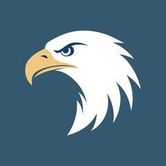 Eagle Head Closeup With Fierce Eyes