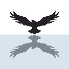 Fototapeta premium Eagle Shadow Above Water Reflection View