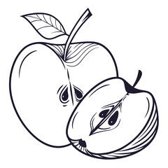 vector illustration of an apple