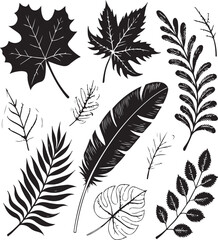 Obraz premium Elegant black and white vector illustrations of various leaves and a feather