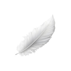 Obraz premium Soft white feather with delicate texture and light appearance isolated on white background