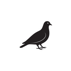 Fototapeta premium Black Pigeon Silhouette Vector on White Background for Logo Design
