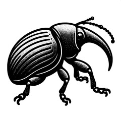 Black and White Vector of a Weevil Silhouette