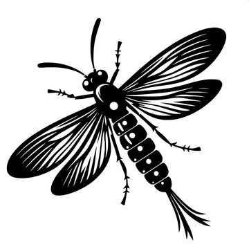 black insect wings detailed white background clip art preview