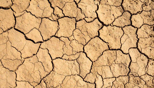 surface en terre s&egrave;che, texture de couleur cr&egrave;me avec fissure graphique